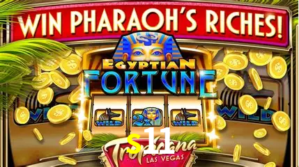 A Experiência Imersiva dos Cassinos Ao Vivo no s11