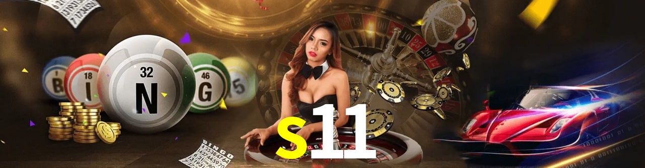 s11
