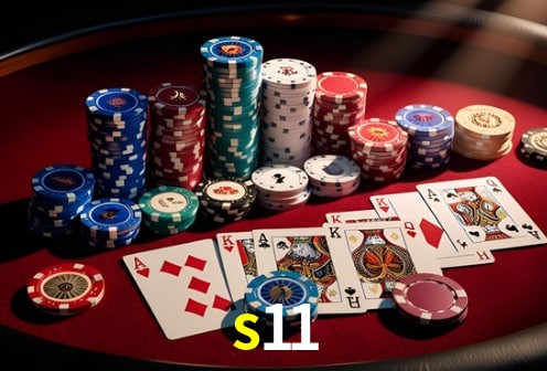s11 