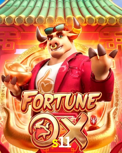 s11